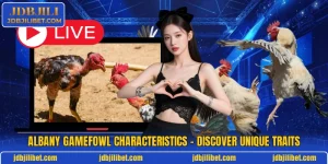 Albany Gamefowl Characteristics – Discover Unique Traits
