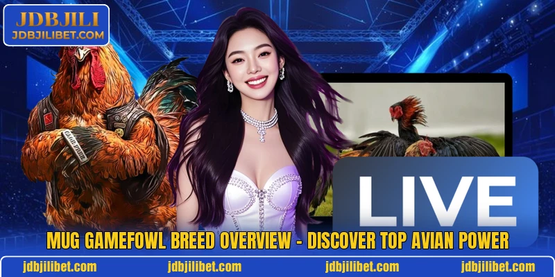 Mug Gamefowl Breed Overview - Discover Top Avian Power