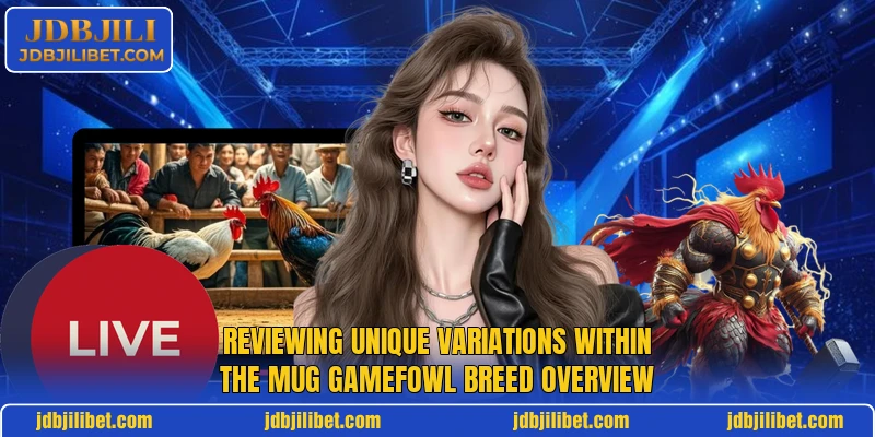 Reviewing unique variations within the mug gamefowl breed overview Reviewing unique variations within the mug gamefowl breed overview